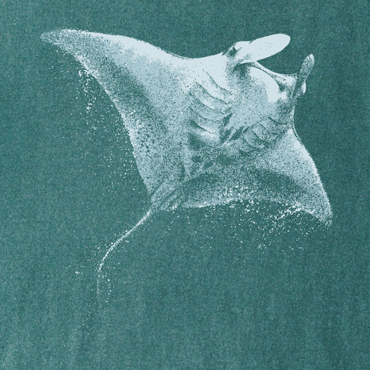 Azure Manta Tee