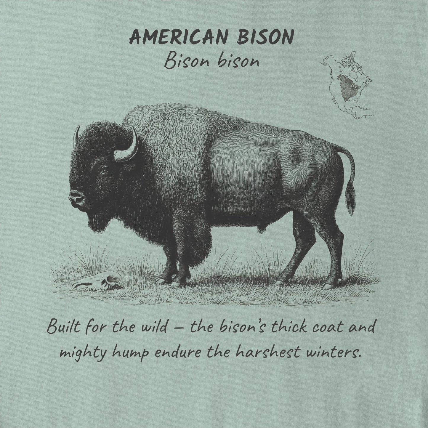American Bison Tee