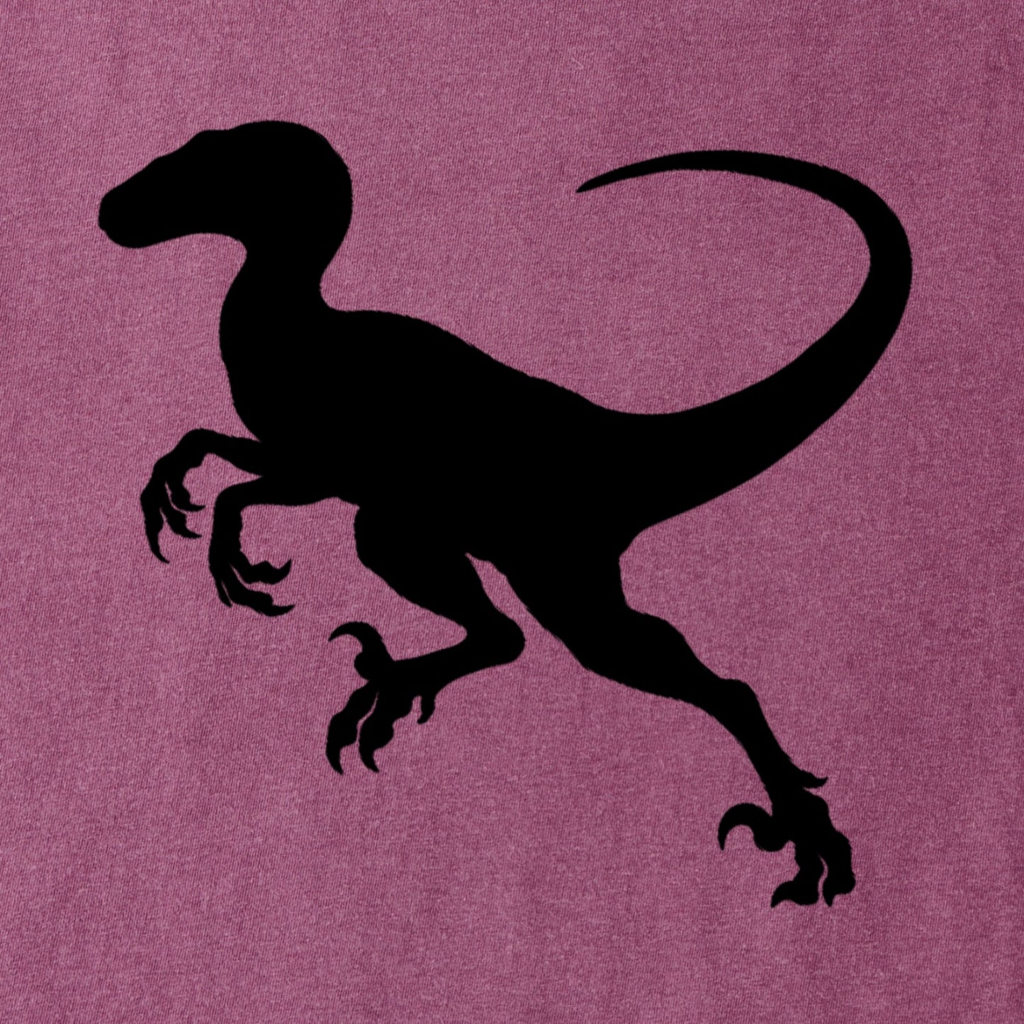 Raptor Tee