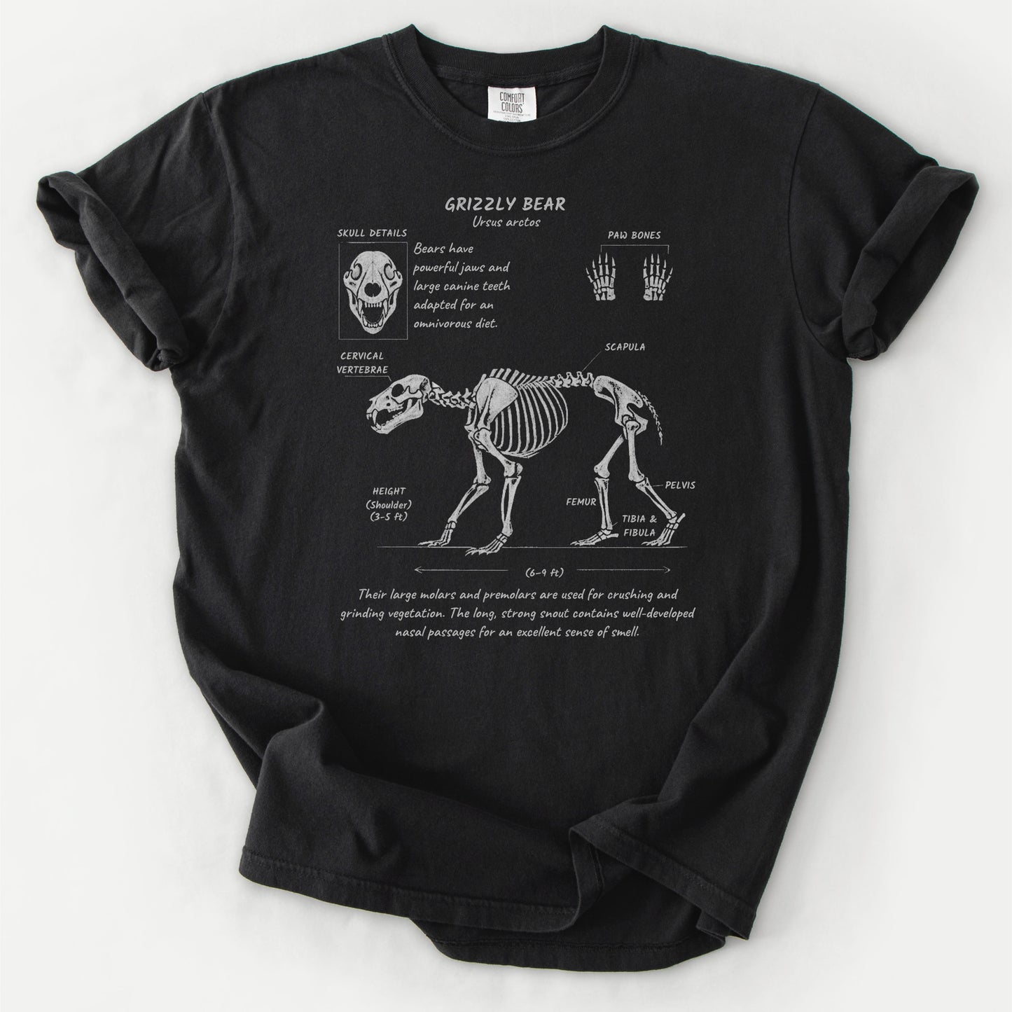 Grizzly Anatomy Tee