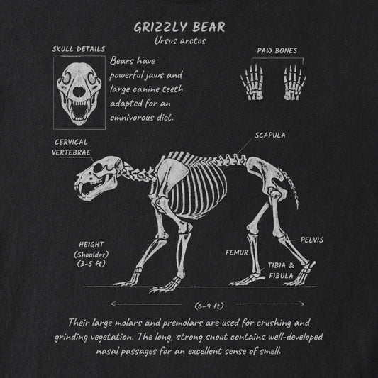 Grizzly Anatomy Tee