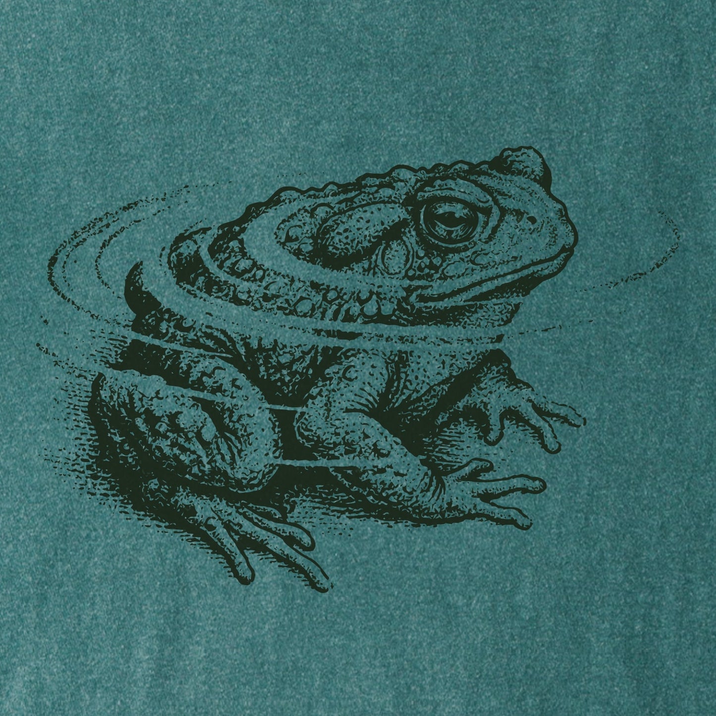 Stillwater Toad Tee