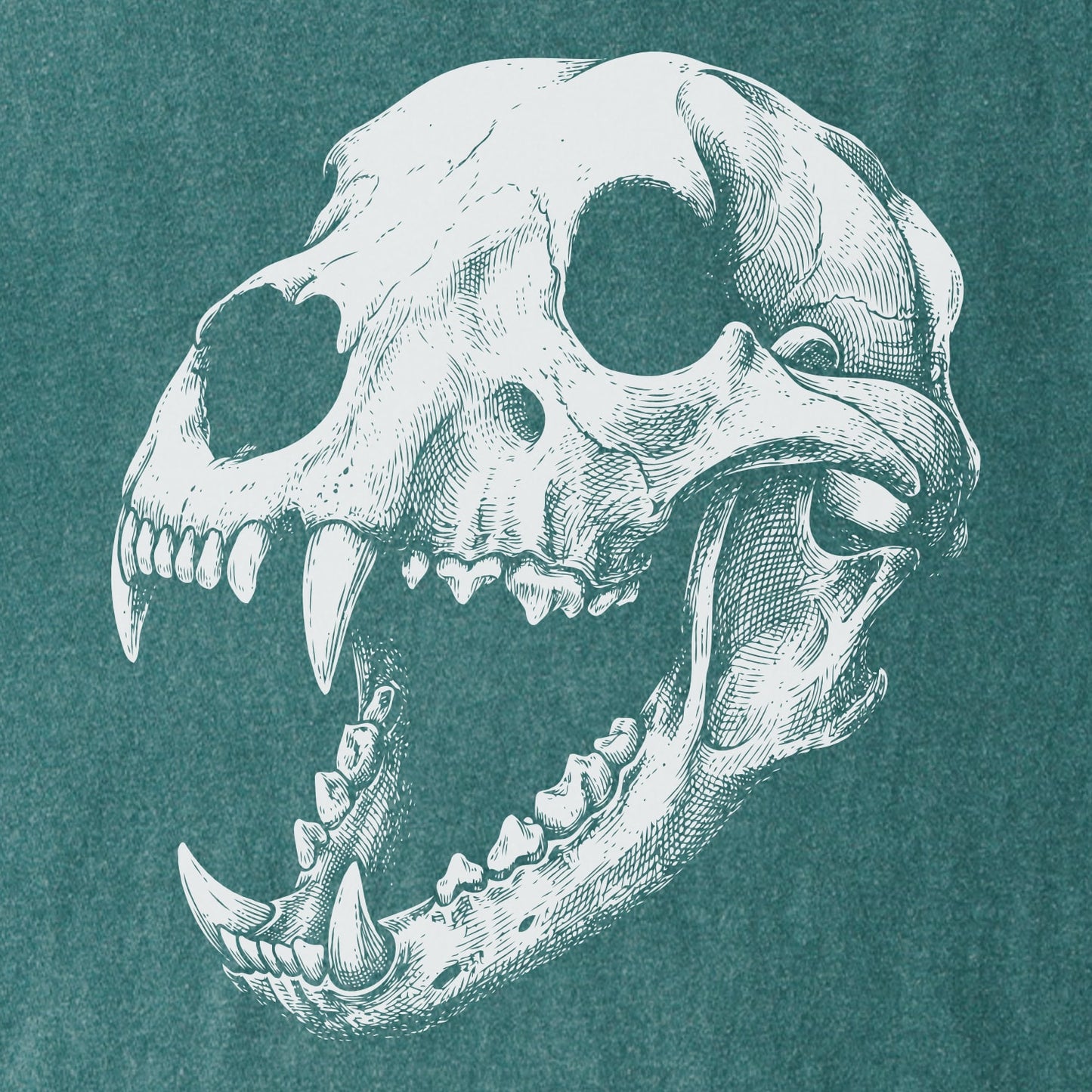 Apex Skull Tee