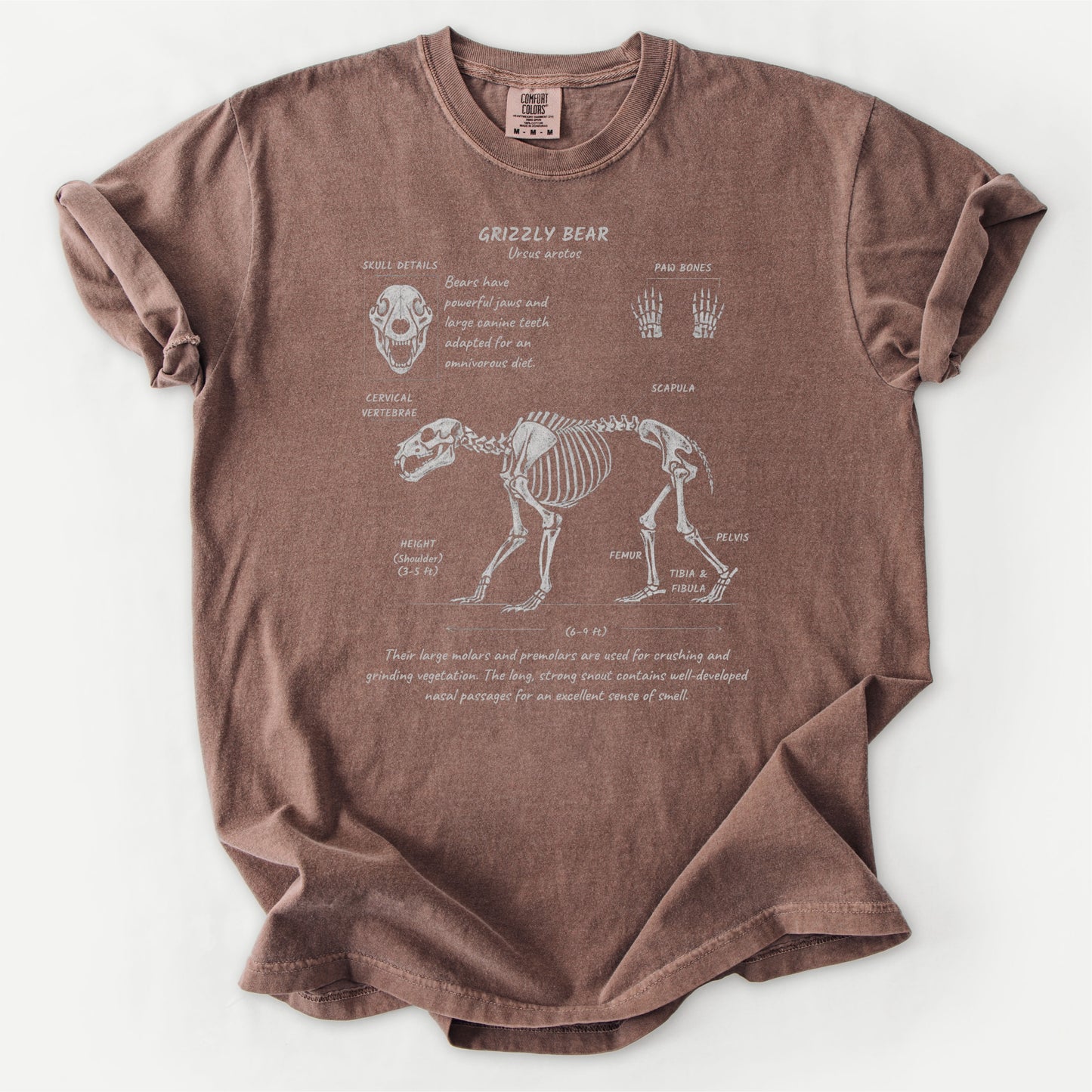 Grizzly Anatomy Tee