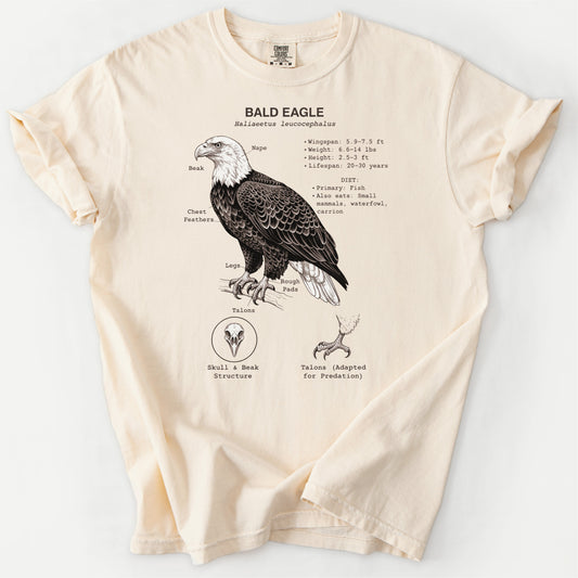 Bald Eagle tee