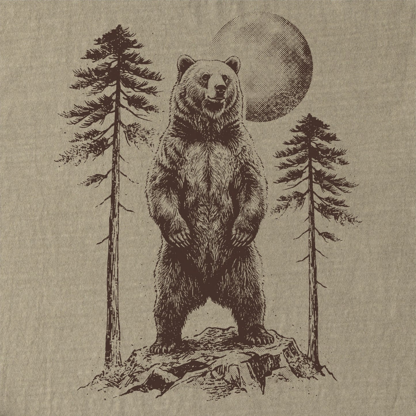 Pinewatch Bear Tee