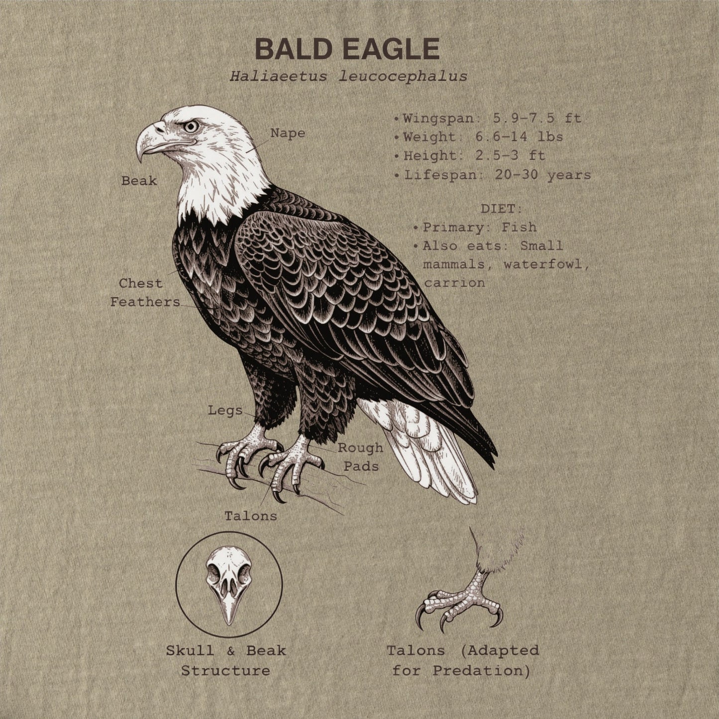 Bald Eagle tee