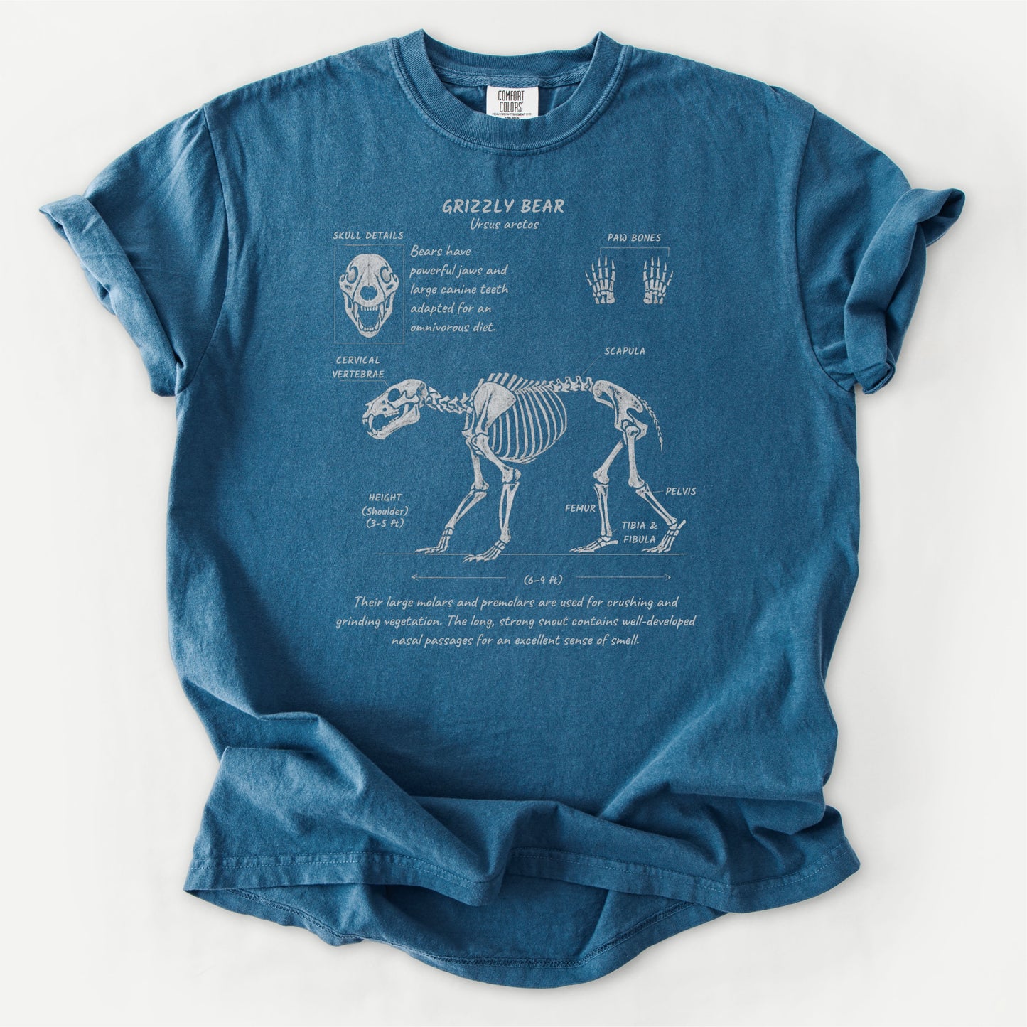 Grizzly Anatomy Tee