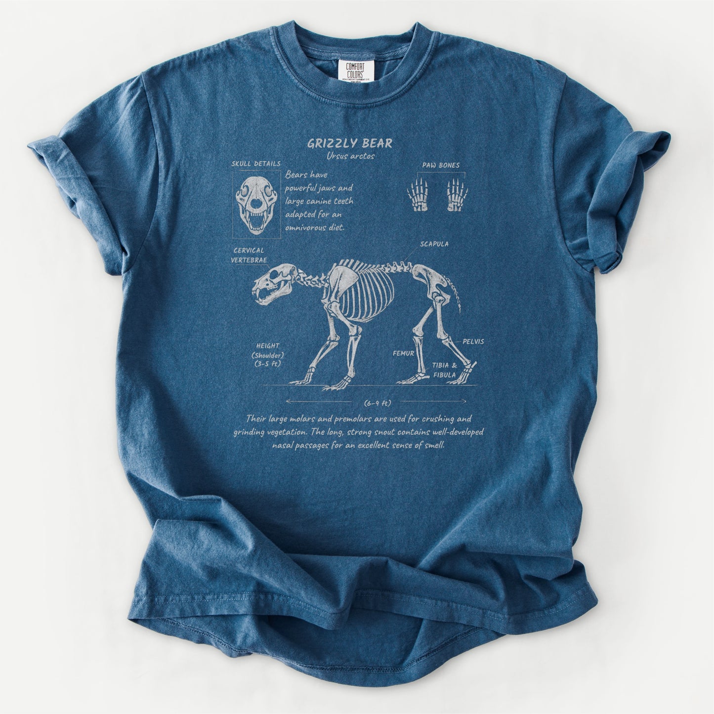 Grizzly Anatomy Tee