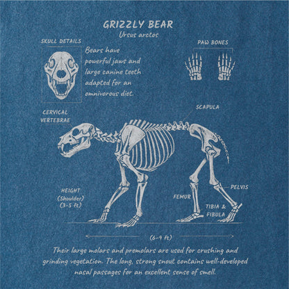 Grizzly Anatomy Tee