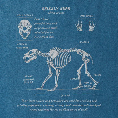Grizzly Anatomy Tee