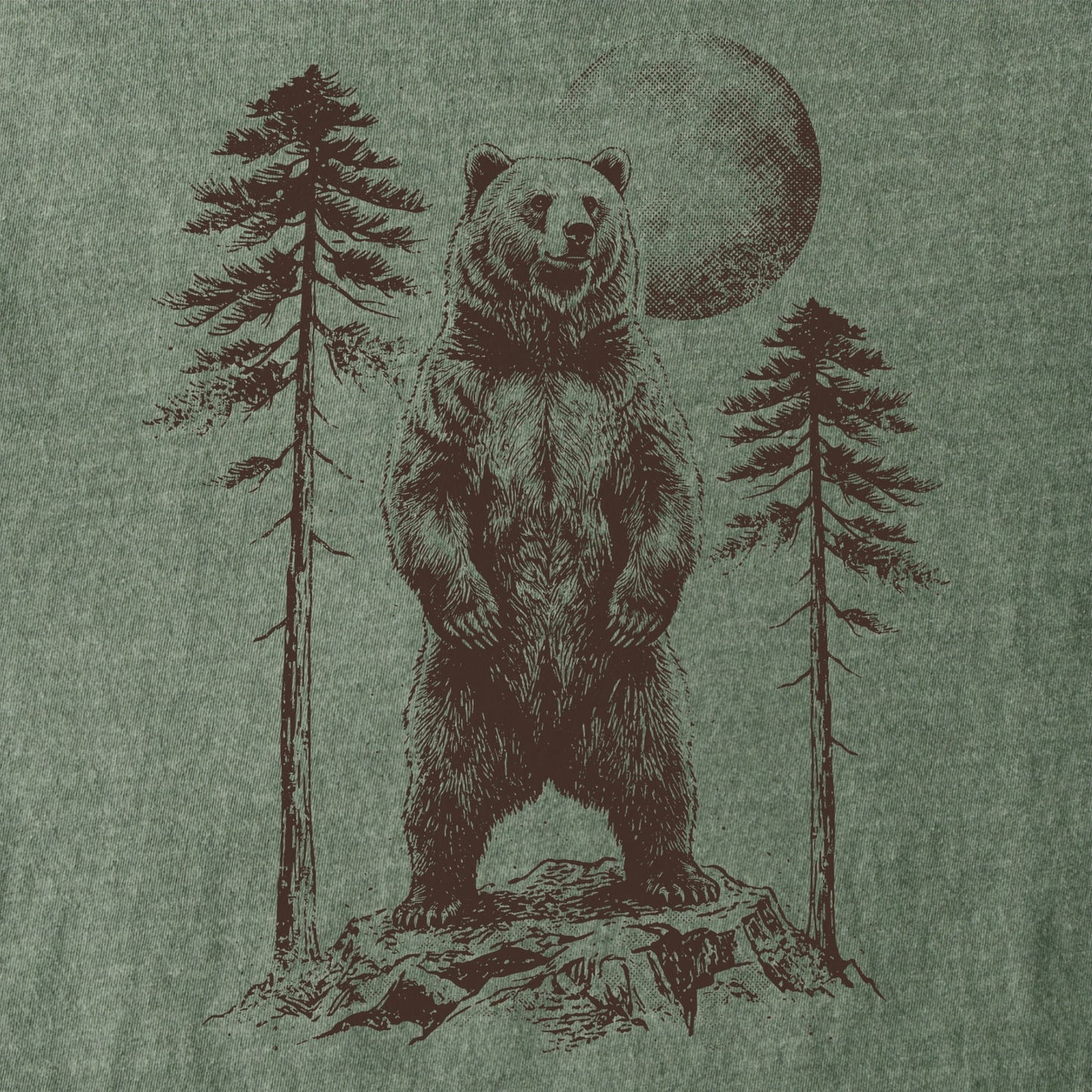 Pinewatch Bear Tee